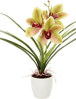 Kunstblume Orchidee, I.GE.A., Höhe 32 cm, Mit Blätter im Topf aus Keramik Künstliche Blume Cymbidium-Orchidee