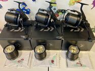 3 x Daiwa Basia SLD QD. BasiAir/DCR - Feusisberg