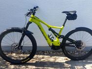 Specialized Levo Rahmen L - Gaggenau