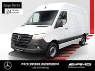 Mercedes Sprinter, 3olzfußboden, Jahr 2020 - Heide