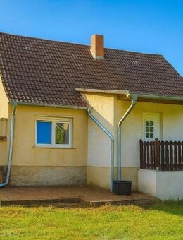 Freistehendes Einfamilienhaus mit großem Grundstück in Möckern OT Tryppehna - Möckern (Sachsen-Anhalt)