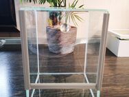 Terrarium 15x15x20 - Ayl