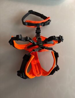 Hunter Sicherheitsgeschirr für kleine Hunde XS orange - Kempten (Allgäu)