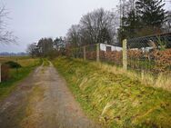 Hauptstadtmakler- Schönes Grundstück in Beeskow - Beeskow