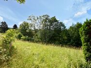 Großes, sonniges Baugrundstück mit vielseitigen Bebauungsmögichkeiten in Oberreifenberg - Schmitten