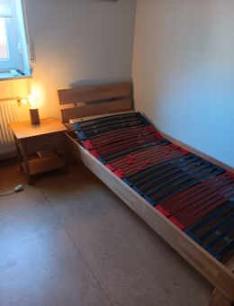 Gästebett 90x200 Buche massiv - Owingen