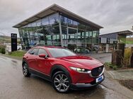 Mazda CX-30 179 PS SELECTION Leder Schiebedach *Winterräder* - Meschede (Kreis- und Hochschulstadt)