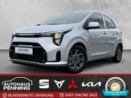 Kia Picanto, 0.1 PE2 AMT UPE 230 - VISION, Jahr 2024 - Zetel