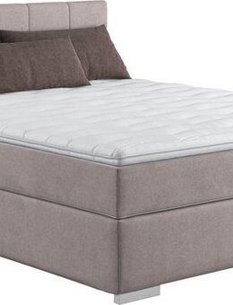 COTTA Boxspringbett Simba, Topseller! wahlweise mit oder ohne Matratze und Topper bestellbar
