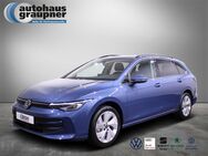 VW Golf Variant, 1.5 TSI Golf VIII Life, Jahr 2022 - Brandis