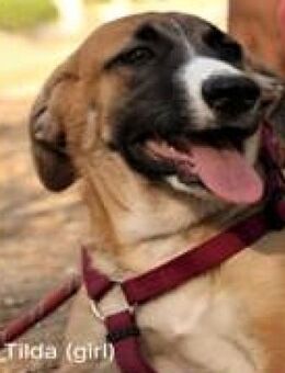 VIER - klasse - LADIES...... - Kempen