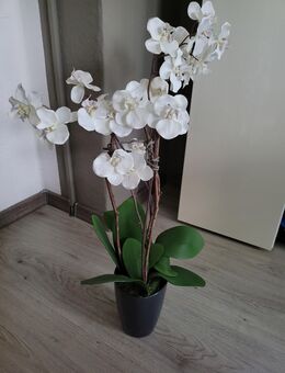 Künstliche Orchideen - Merseburg