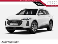 Audi Q5, NEU TFSI, Jahr 2022 - Weinheim