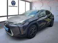 Lexus UX 250h, Style, Jahr 2022 - Merzig