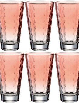 LEONARDO Longdrinkglas OPTIC, Glas, 300 ml, 6-teilig