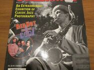JAZZ TIMES - America's Jazz Magazine (1994) - Groß Gerau