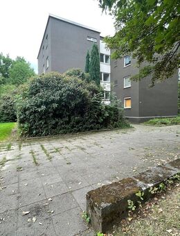 3,5 Zimmer - frisch renoviert -ruhige Lage -Balkon - Bochum