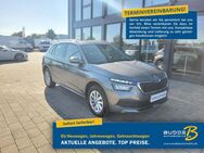 Skoda Kamiq 1.0 TSI Ambition / Smart Link / Kamera - Warstein