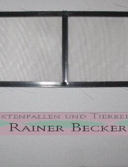 Insectivoro Kassettenfilter, Ersatzfilter für Fangbehälter - Steinmauern