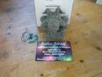 Gargoyle Steinfigur mini Devonshire Statuary -neu- in 36151