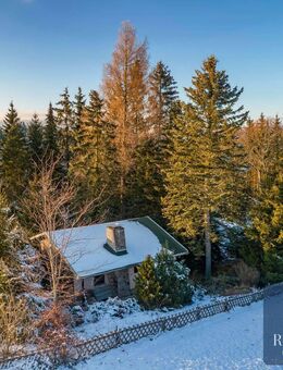 Naturparadies in Schnarrtanne - Ihr Gartenhaus am Waldrand und Badesee + Kaminofen & Fußbodenheizung - Auerbach (Vogtland)