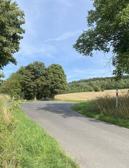Nur wenige Schritte vom Helleweg entfernt... - Göttingen