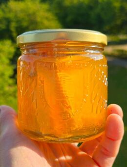 Honig 500g aus Bayern -100% Natural - Ingolstadt Zentrum