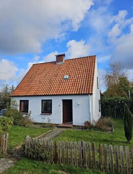 Sanierungsobjekt in ruhiger Lage mit Riesengarten! Haus + Anbau, Durchbruch möglich oder 2 Parteien! - Steinfeld (Schleswig-Holstein)