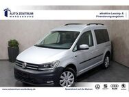 VW Caddy 2.0 TDI 4Motion XENON NAVI SHZ 5-Sitzer - Wardenburg