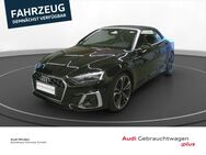 Audi A5, Cabriolet 35 TFSI S line vo hi, Jahr 2024 - Minden (Nordrhein-Westfalen)