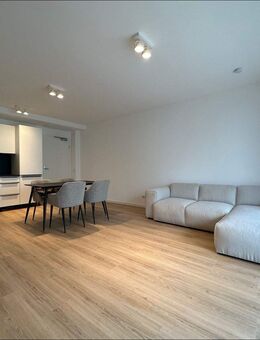 Möblierte 2 - Zimmer Wohnung im SCHÖNTALHAUS mit EBK und Klimaanlage mitten in Aschaffenburg - Aschaffenburg