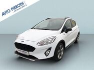 Ford Fiesta 1.0 EcoBoost S&S ACTIVE - Worms