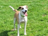 Gina sucht ihr Glück - Oberhausen (Rheinland-Pfalz)