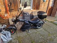 SXT SCOOTER e-chooper - Meine