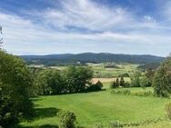 Ferien-/Eigentumswohnung mit Panoramablick! 2-Zi.-ETW mit Balkon in Regen-Kattersdorf - Regen