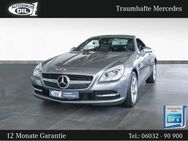 Mercedes-Benz SLK 250 CDI BlueEFFICIENCY - Bad Nauheim