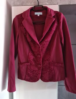 Blazer mit Spitze - Zerbst (Anhalt)