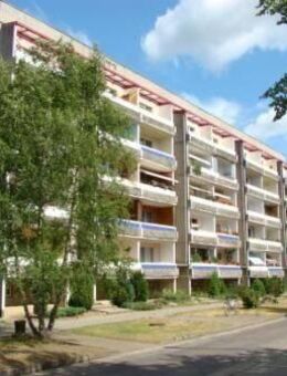 3-Raum-Wohnung in Kiefernheide mit Balkon! - Neustrelitz