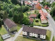 Renovierte 2-Zimmer-Wohnung im Grünen – Walkenried 6311.10304 - Zorge