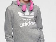 adidas Originals Kapuzensweatshirt TREFOIL HOODIE Hoodie, Kapuzenpullover mit großem Logoprint