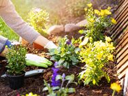 Für Gartenfreunde: sonnige 3-Zimmer-Wohnung mit Terrasse und großer Gartenfläche - Oppenweiler