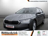 Skoda Octavia, 1.5 TSI Combi mHEV Essence, Jahr 2022 - Bramsche