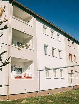 Ab Dezember! - Prenzlau