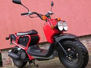 Honda Zoomer NPS 50 AF66 Versichert 946 km Mofa/Mokick Dax Monkey CY Gorilla - Wittingen Zentrum