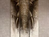 Elefantenbild - Weilerswist
