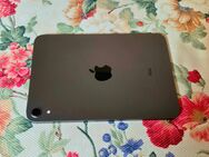 iPad mini 6 Space Grey - Inning (Holz)
