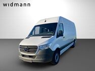 Mercedes Sprinter, 317 Kasten Maxi Schwingsitz A, Jahr 2023 - Meißen