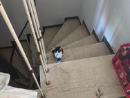 Babykatze zu verkaufen in Neuhausen-Nymphenbu - München