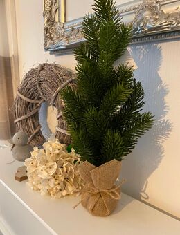 TANNE IM JUTEBEUTEL - Hagen (Teutoburger Wald)