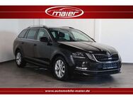 Skoda Octavia 2.0 TDI Style-Navi-LED-Tempo-AHK-PDC-SHZ - Bebra